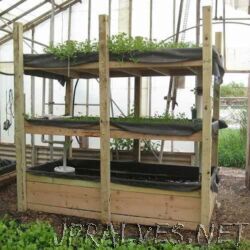 Aquaponics
