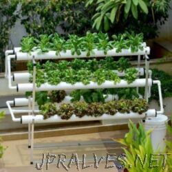 Hydroponics