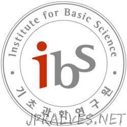 IBS.Edu