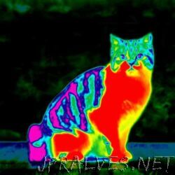 IR