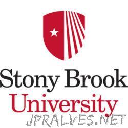StonyBrook.Edu
