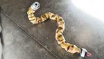 Snakes teach robots trick of the tight turn