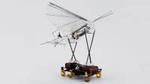 Robo-teamwork: Robotic cockroach used to launch robotic bird