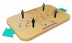 With 300 Kilometers per Second to New Electronics