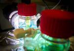 A solar-energy storage cell that works at night