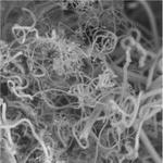 ‘Diamonds from the sky’ approach turns CO2 into valuable products