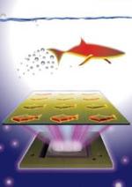 Microscopic fish are 3-D-printed to do more than swim