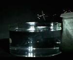 Harvard’s Robot Bee Is Now Also a Submarine