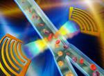 A fast cell sorter shrinks to cell phone size