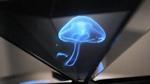 Smartphone-Powered Hologram