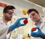 Flinders reseacher’s new material lays waste to mercury pollution