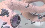 Self-assembling material that grows and changes shape could lead to artificial arteries