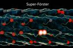 Quantum physics meets genetic engineering