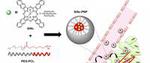 Single-agent phototherapy system offers significant new tool to fight cancer