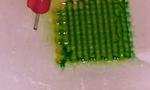 3-D printed ‘building blocks’ of life