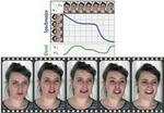 FaceDirector: Continuous Control of Facial Performance in Video