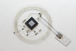Tiny electronic implants monitor brain injury, then melt away