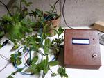 Plant-Duino 1.0 Green-Idea