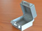 Buckle Box, Printable In One Piece