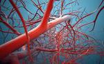 World’s first 3D blood vessel bio-printer could lead to the fabrication of human organs
