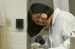 ORNL process could be white lightning to electronics industry