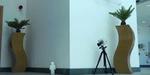 Camera system sees round corners
