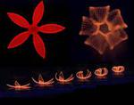 Novel 4D printing method blossoms from botanical inspiration
