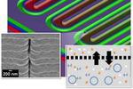 ORNL cell-free protein synthesis is potential lifesaver