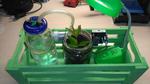 Arduino Automatic Watering System