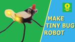 How to make a Tiny Bug Robot at home