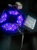 Humidity and Temperature Reacting Lightsource