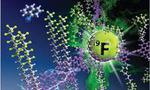Prof. Kilwon Cho and Team Develop New Semiconducting Polymer for Forthcoming Flexible Electronics