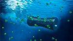 Graphene-Based Microbots for Toxic Heavy Metal Removal and Recovery from Water