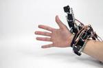 Robotic symbionts