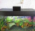 Fish Feeder Arduino Raspberry Pi Link