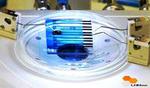 Biomolécula ligada a doenças neurodegenerativas é detectada