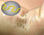 Fast, stretchy circuits could yield new wave of wearable electronics