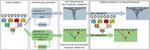 The Evolutionary Origins of Hierarchy