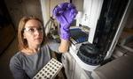 3-D printed polymer turns methane to methanol