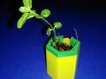 Customizable Watering Planter
