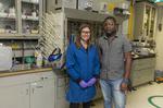 IBM Research Scientists Discover New Recycling Process to Convert Old Smartphones and CDs into Non-Toxic, High-Strength Plastics