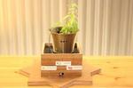 Smart Garden