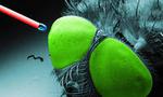 3D printing enables the smalles complex micro-objectives