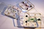 New microfluidic device offers means for studying electric field cancer therapy