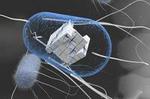 Scientists program cells to remember and respond to series of stimuli