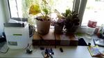AI on Arduino (learning irrigation station)