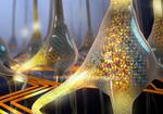 IBM Scientists Imitate the Functionality of Neurons with a Phase-Change Device
