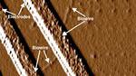Down to the Wire: ONR Researchers and New Bacteria