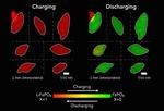 Stanford-led team reveals nanoscale secrets of rechargeable batteries