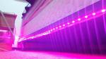 Smart Bed Lighting